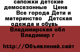 сапожки детские демосезонные › Цена ­ 500 - Все города Дети и материнство » Детская одежда и обувь   . Владимирская обл.,Владимир г.